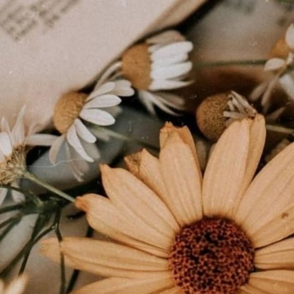 Meet your Posher, Bobbi - Picture 1 of 1